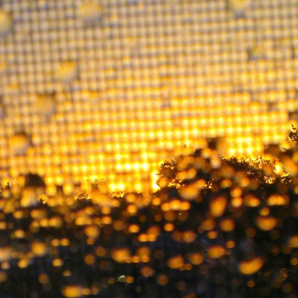 Meet your Posher, Mia - Picture 1 of 1